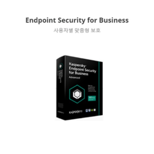 [카스퍼스키] Kaspersky Endpoint Security 10 for Small Server 라이선스 연간계약
