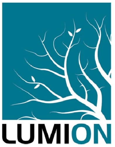 Lumion Pro 2024 (3년) 루미온 프로 3년 사용권